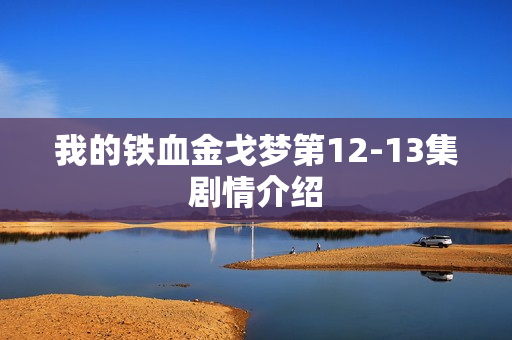 我的铁血金戈梦第12-13集剧情介绍