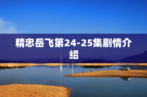 精忠岳飞第24-25集剧情介绍