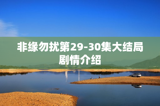 非缘勿扰第29-30集大结局剧情介绍