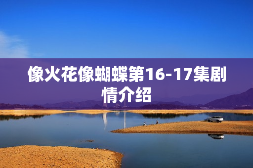 像火花像蝴蝶第16-17集剧情介绍
