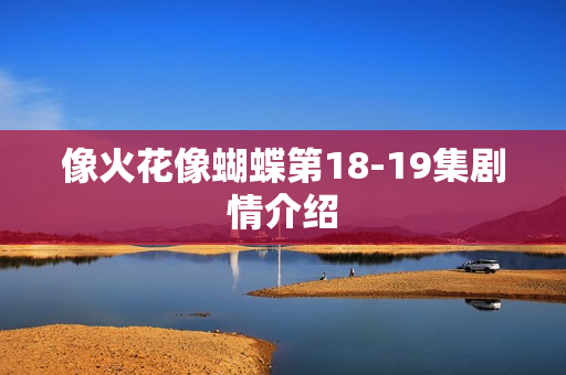像火花像蝴蝶第18-19集剧情介绍