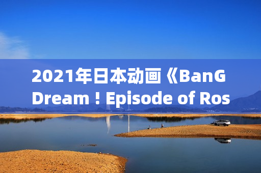 2021年日本动画《BanG Dream ! Episode of Roselia Ⅰ 约定》BD日语中字
