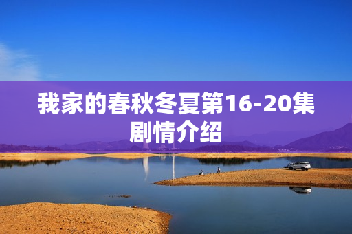 我家的春秋冬夏第16-20集剧情介绍