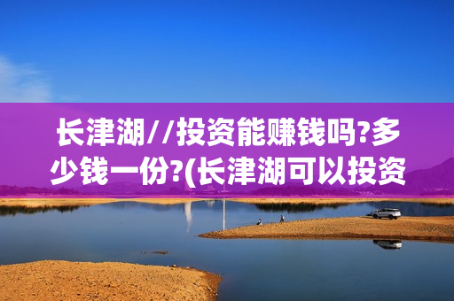 长津湖//投资能赚钱吗?多少钱一份?(长津湖可以投资吗)