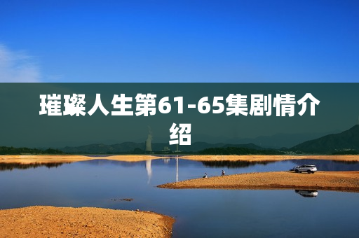 璀璨人生第61-65集剧情介绍