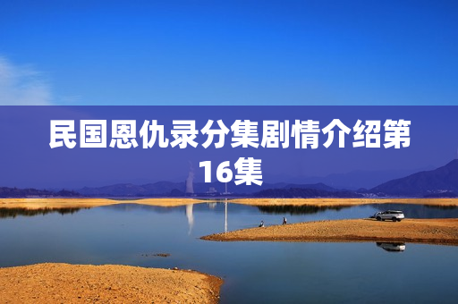 民国恩仇录分集剧情介绍第16集