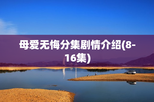 母爱无悔分集剧情介绍(8-16集)