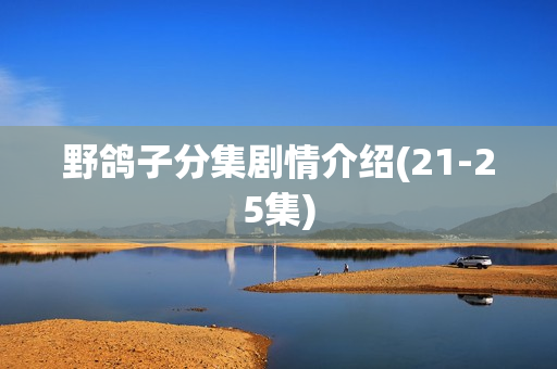 野鸽子分集剧情介绍(21-25集)