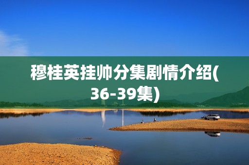 穆桂英挂帅分集剧情介绍(36-39集)