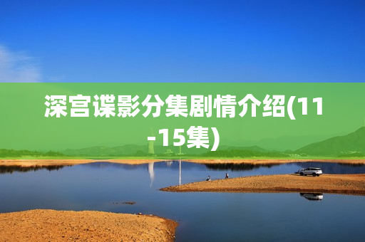 深宫谍影分集剧情介绍(11-15集)