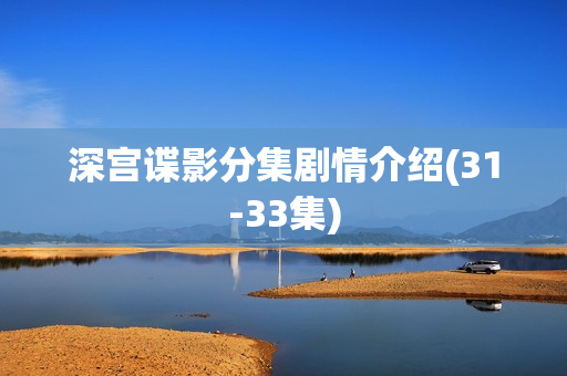 深宫谍影分集剧情介绍(31-33集)