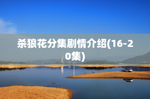 杀狼花分集剧情介绍(16-20集)