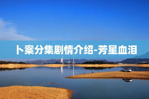 卜案分集剧情介绍-芳星血泪