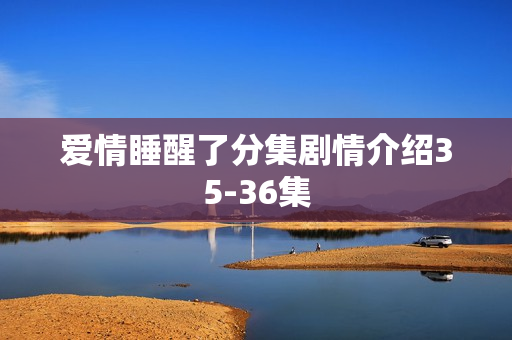 爱情睡醒了分集剧情介绍35-36集