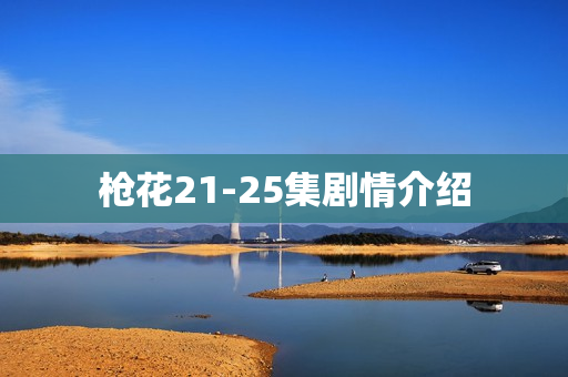 枪花21-25集剧情介绍