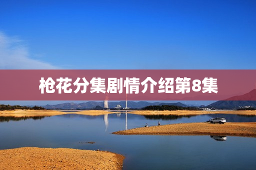 枪花分集剧情介绍第8集