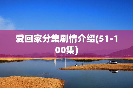 爱回家分集剧情介绍(51-100集)