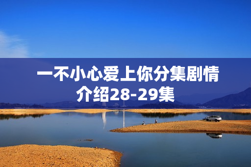  一不小心爱上你分集剧情介绍28-29集