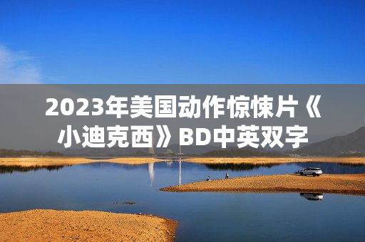 2023年美国动作惊悚片《小迪克西》BD中英双字