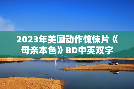 2023年美国动作惊悚片《母亲本色》BD中英双字