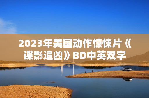 2023年美国动作惊悚片《谍影追凶》BD中英双字