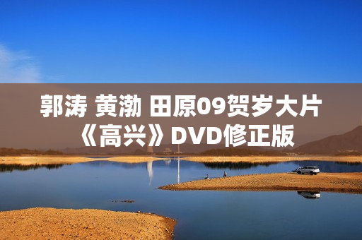 郭涛 黄渤 田原09贺岁大片《高兴》DVD修正版