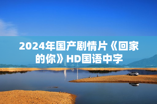 2024年国产剧情片《回家的你》HD国语中字
