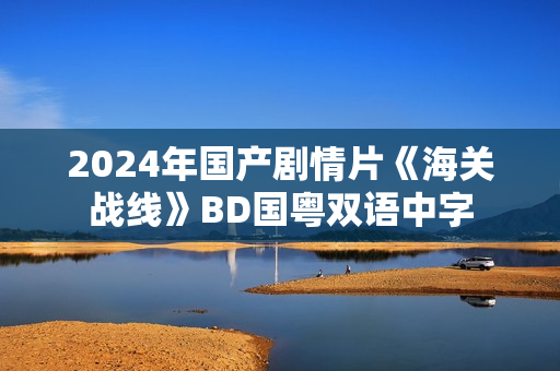 2024年国产剧情片《海关战线》BD国粤双语中字