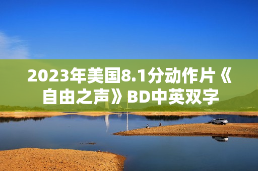 2023年美国8.1分动作片《自由之声》BD中英双字