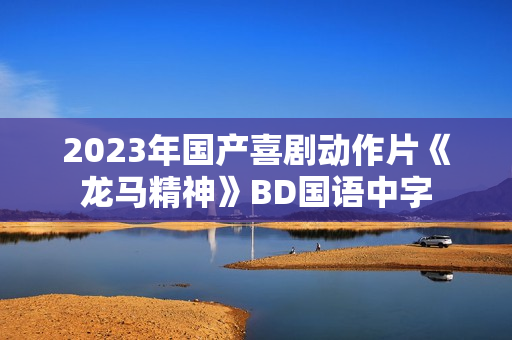 2023年国产喜剧动作片《龙马精神》BD国语中字