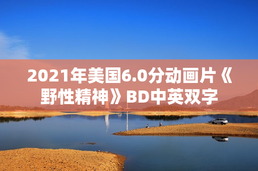 2021年美国6.0分动画片《野性精神》BD中英双字