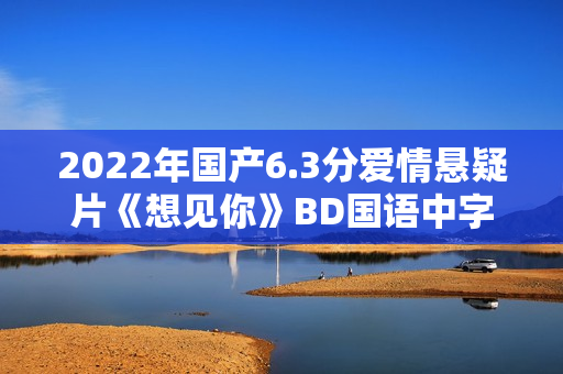 2022年国产6.3分爱情悬疑片《想见你》BD国语中字