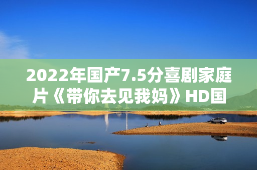 2022年国产7.5分喜剧家庭片《带你去见我妈》HD国语中字