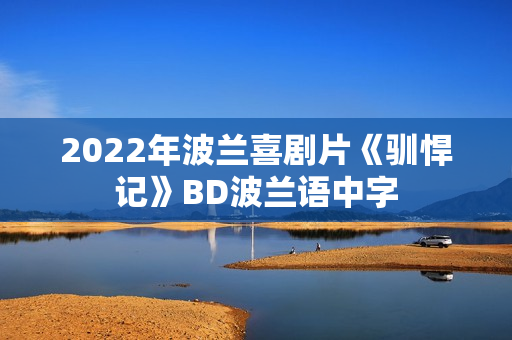 2022年波兰喜剧片《驯悍记》BD波兰语中字