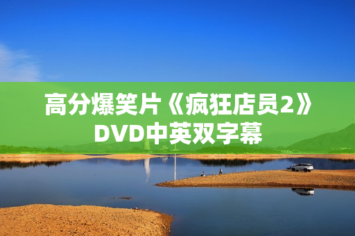 高分爆笑片《疯狂店员2》DVD中英双字幕