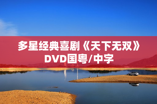 多星经典喜剧《天下无双》DVD国粤/中字