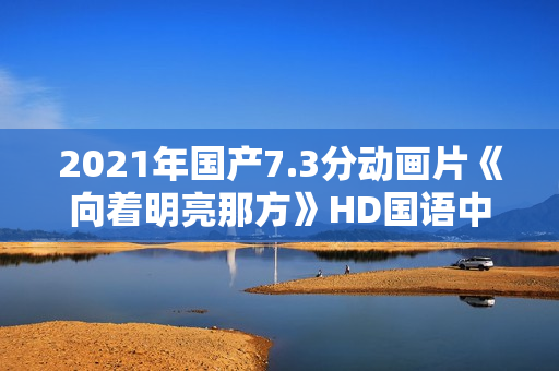 2021年国产7.3分动画片《向着明亮那方》HD国语中字