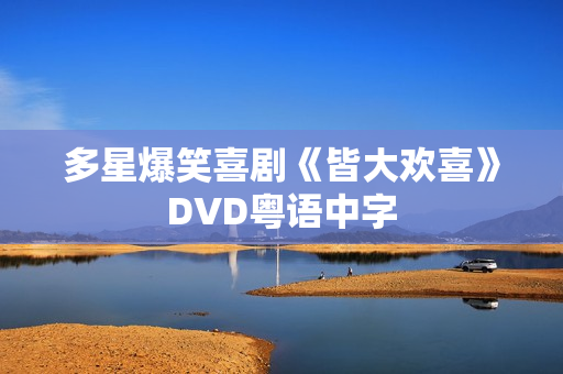 多星爆笑喜剧《皆大欢喜》DVD粤语中字