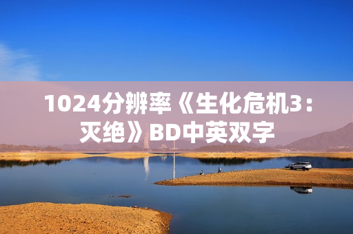1024分辨率《生化危机3：灭绝》BD中英双字