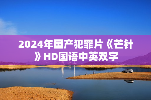 2024年国产犯罪片《芒针》HD国语中英双字
