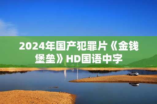 2024年国产犯罪片《金钱堡垒》HD国语中字
