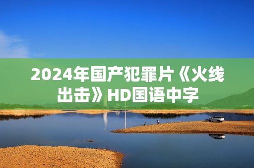 2024年国产犯罪片《火线出击》HD国语中字