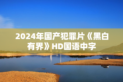 2024年国产犯罪片《黑白有界》HD国语中字