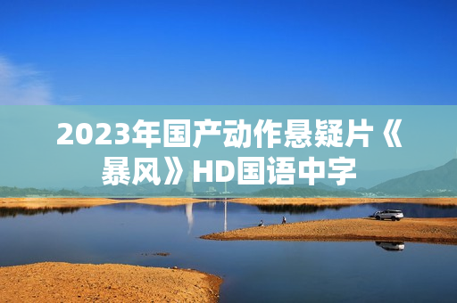 2023年国产动作悬疑片《暴风》HD国语中字 2023年国产动作悬疑片《暴风》HD国语中字