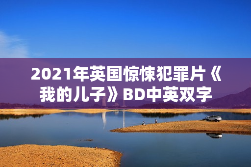 2021年英国惊悚犯罪片《我的儿子》BD中英双字