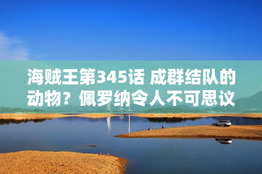 海贼王第345话 成群结队的动物?佩罗纳令人不可思议的庭院 海贼王第345话 成群结队的动物?佩罗纳令人不可思议的庭院