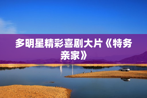 多明星精彩喜剧大片《特务亲家》