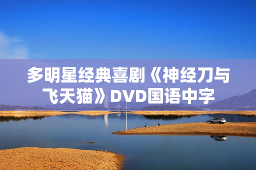 多明星经典喜剧《神经刀与飞天猫》DVD国语中字