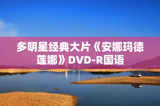 多明星经典大片《安娜玛德莲娜》DVD-R国语