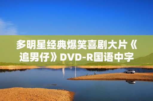 多明星经典爆笑喜剧大片《追男仔》DVD-R国语中字
